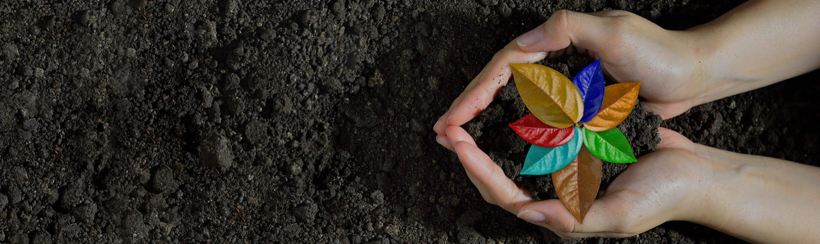 sostenibilità-sicurezza