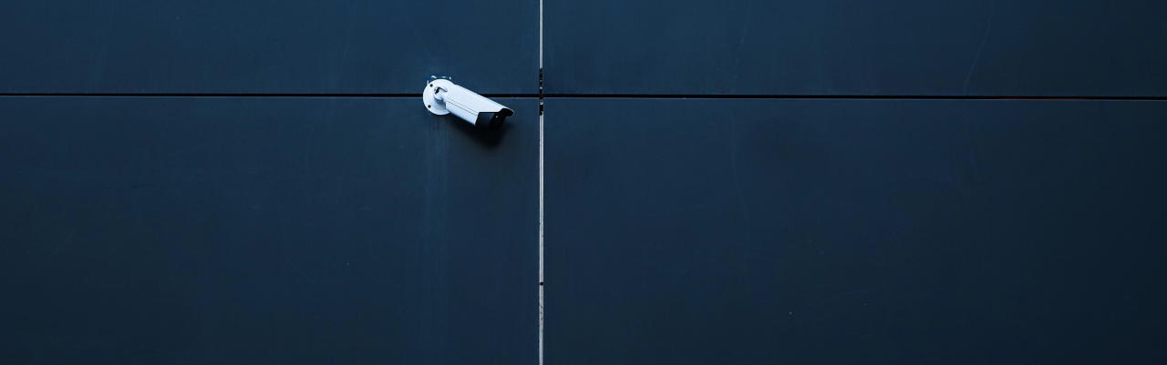 videosorveglianza aziendale