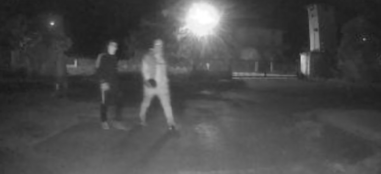 Verifica visiva fotoallarme