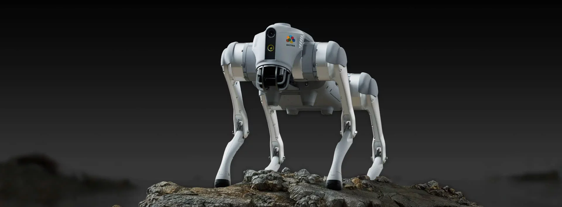 droni di terra - robot security